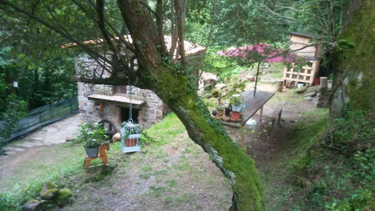La Casuca Del Bosque