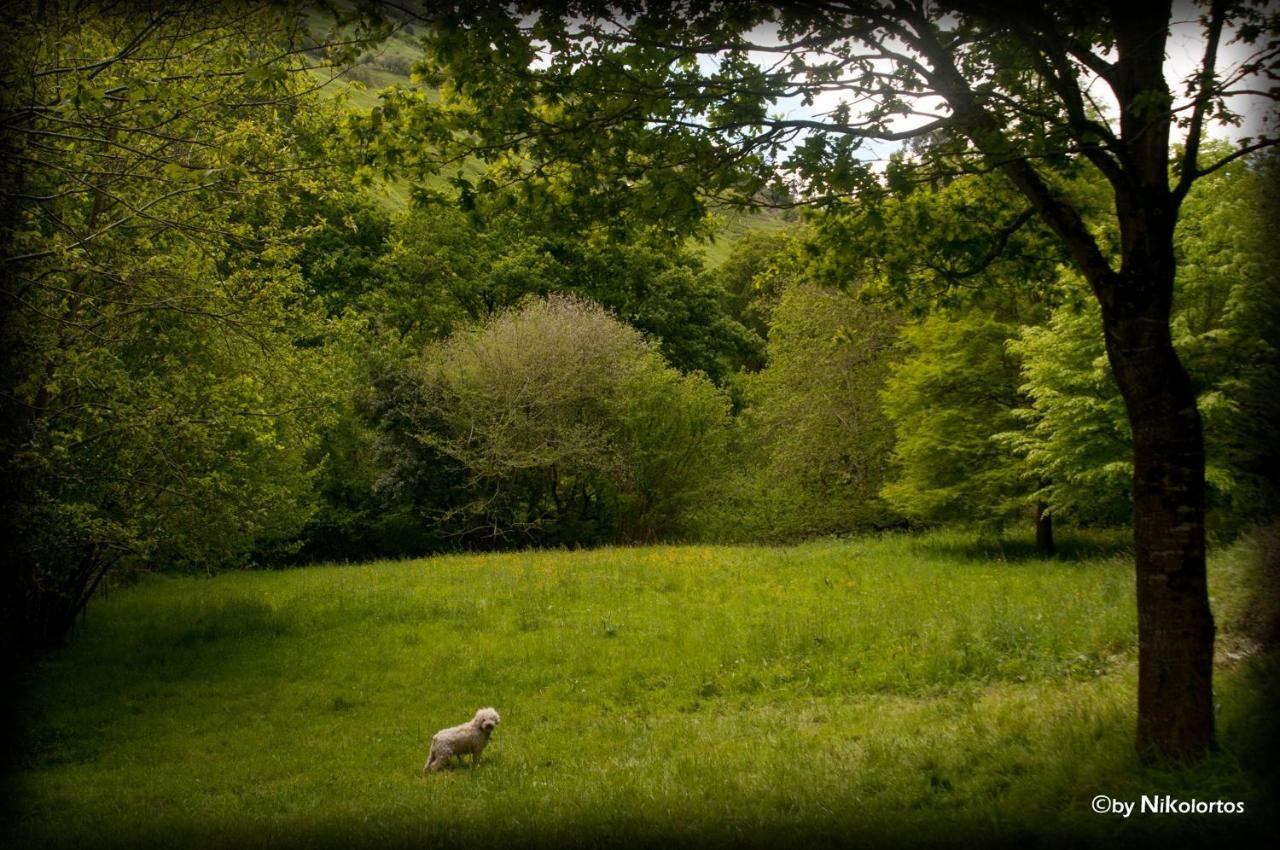 La Casuca Del Bosque Liérganes