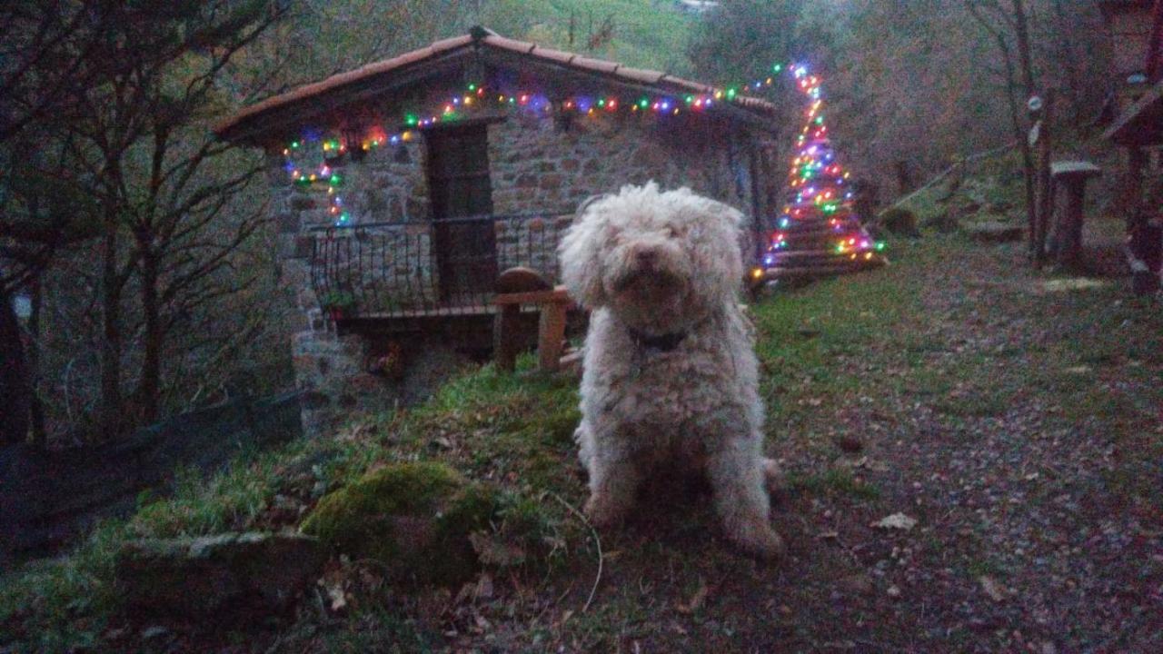 La Casuca Del Bosque Vakantiehuis Liérganes